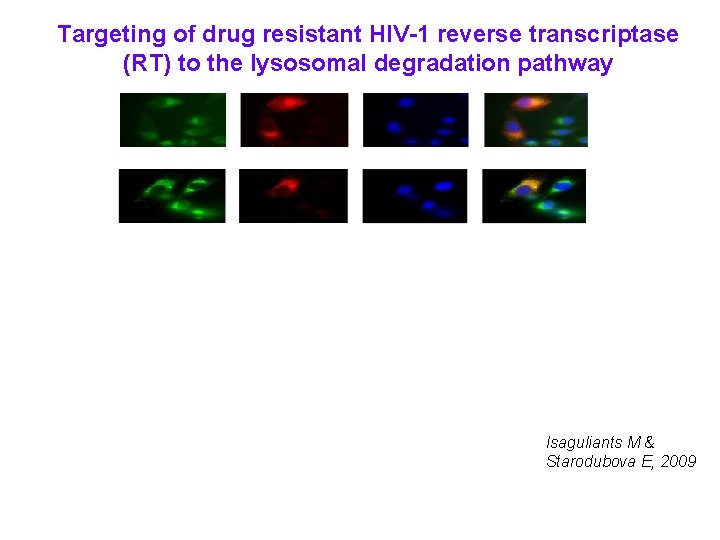 Targeting of drug resistant HIV-1 reverse transcriptase (RT) to the lysosomal degradation pathway Isaguliants