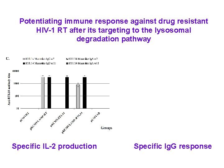 Potentiating immune response against drug resistant HIV-1 RT after its targeting to the lysosomal