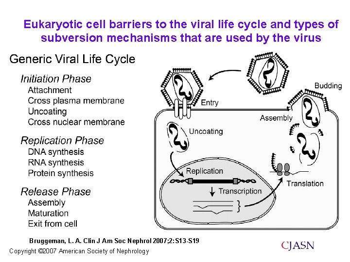 Eukaryotic cell barriers to the viral life cycle and types of subversion mechanisms that