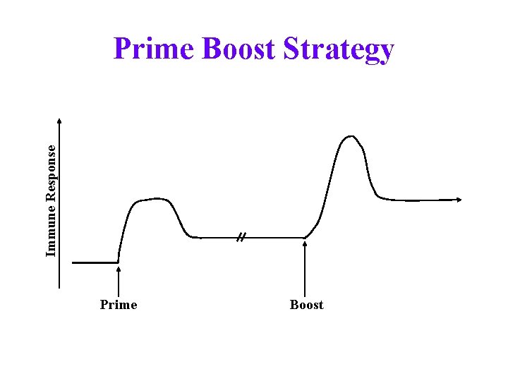 Immune Response Prime Boost Strategy Prime Boost 