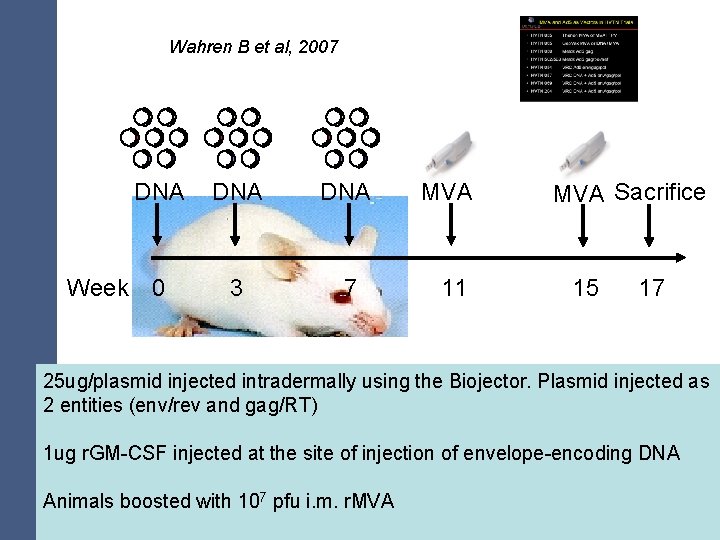 Wahren B et al, 2007 DNA Week 0 DNA MVA 3 7 11 MVA
