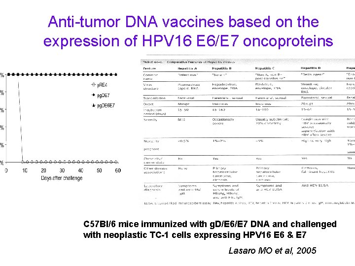  Anti-tumor DNA vaccines based on the expression of HPV 16 E 6/E 7