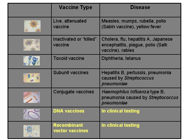 Vaccine Type Live, attenuated vaccine Disease Measles, mumps, rubella, polio (Sabin vaccine), yellow fever