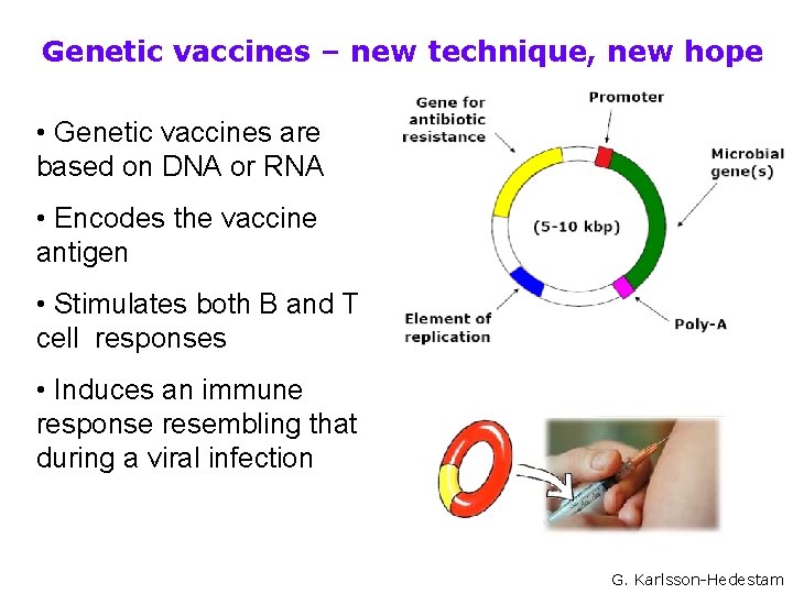 Genetic vaccines – new technique, new hope • Genetic vaccines are based on DNA