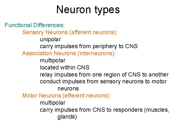 Neuron types Functional Differences: Sensory Neurons (afferent neurons): unipolar carry impulses from periphery to