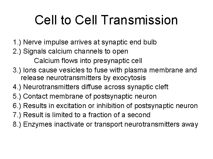 Cell to Cell Transmission 1. ) Nerve impulse arrives at synaptic end bulb 2.