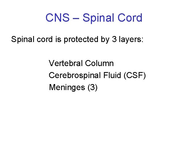 CNS – Spinal Cord Spinal cord is protected by 3 layers: Vertebral Column Cerebrospinal