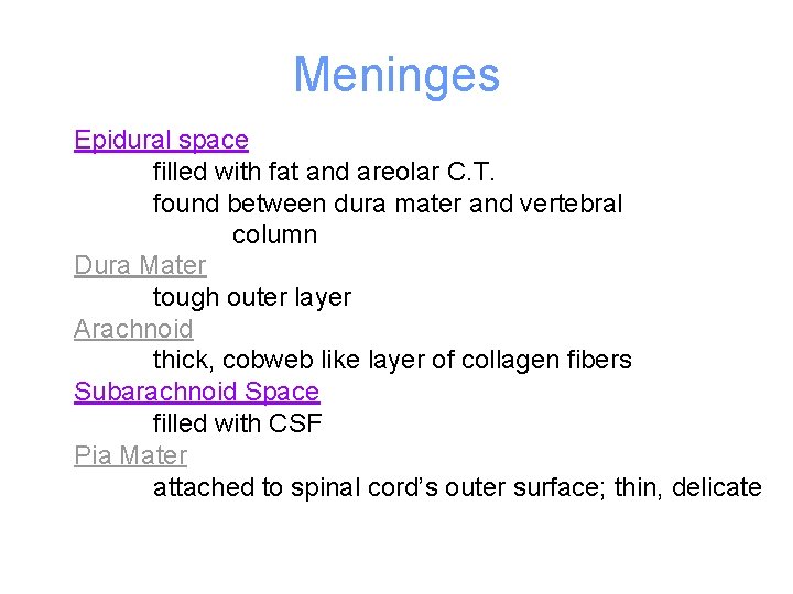 Meninges Epidural space filled with fat and areolar C. T. found between dura mater