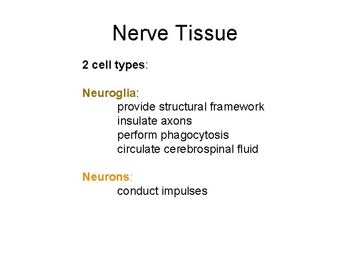 Nerve Tissue 2 cell types: Neuroglia: provide structural framework insulate axons perform phagocytosis circulate