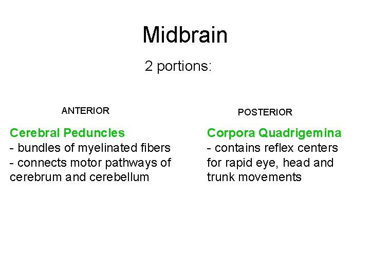 Midbrain 2 portions: ANTERIOR Cerebral Peduncles - bundles of myelinated fibers - connects motor