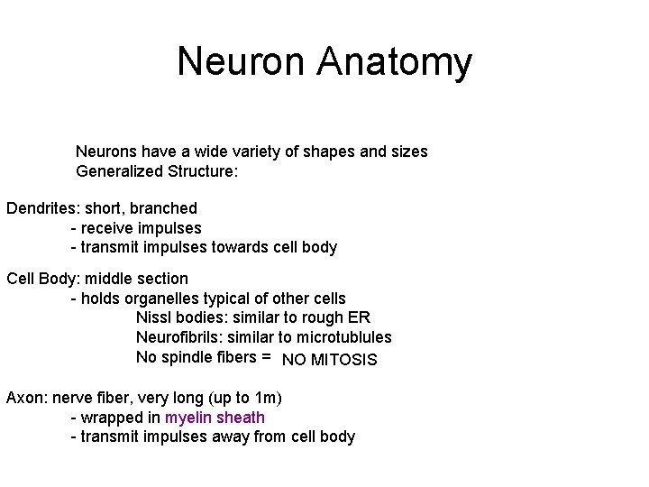 Neuron Anatomy Neurons have a wide variety of shapes and sizes Generalized Structure: Dendrites: