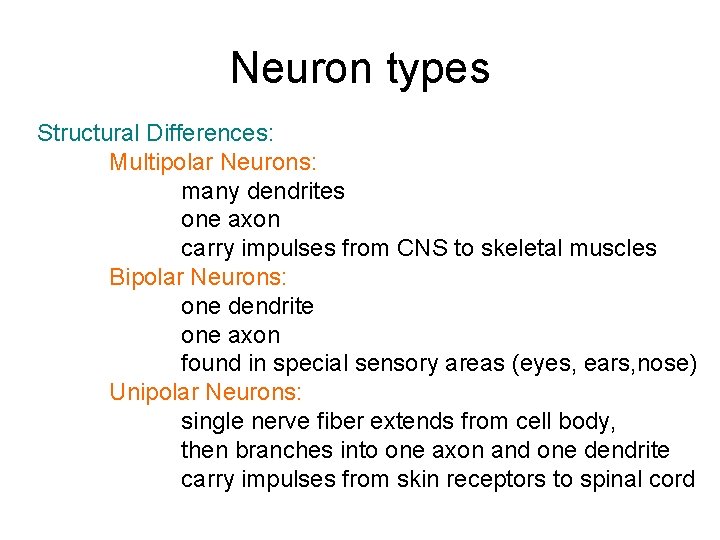 Neuron types Structural Differences: Multipolar Neurons: many dendrites one axon carry impulses from CNS