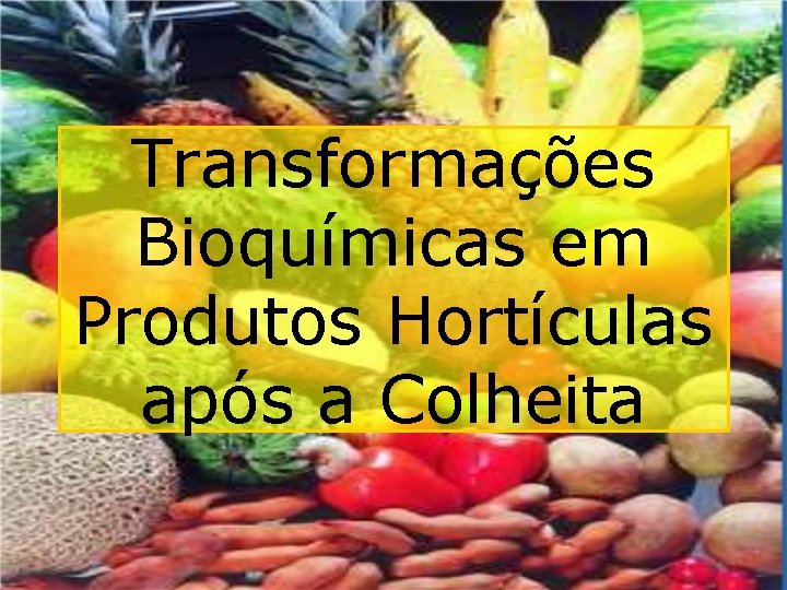 Transformações Bioquímicas em Produtos Hortículas após a Colheita 