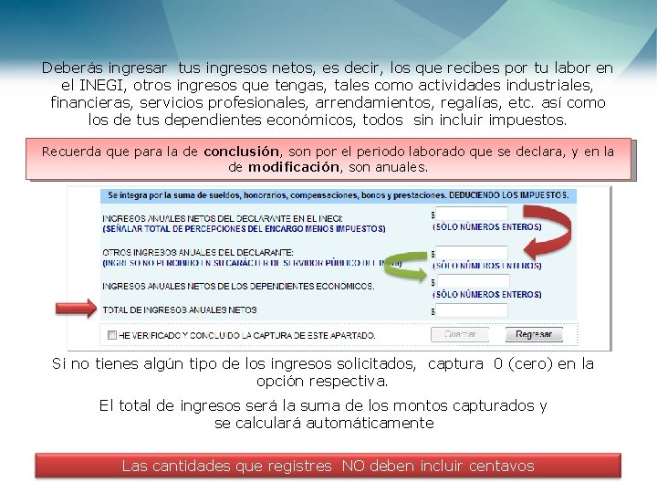 Deberás ingresar tus ingresos netos, es decir, los que recibes por tu labor en