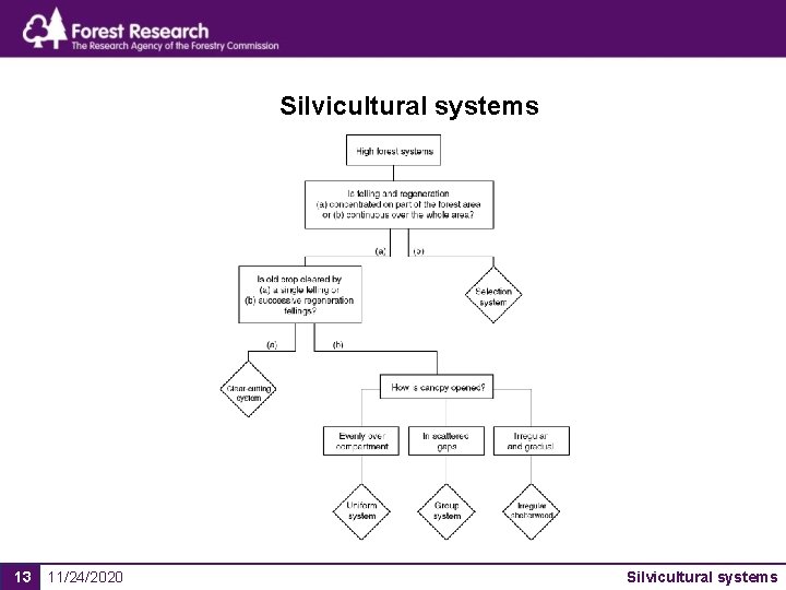 Silvicultural systems 13 11/24/2020 Silvicultural systems 