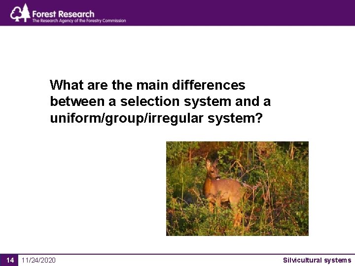 What are the main differences between a selection system and a uniform/group/irregular system? 14