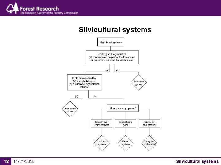 Silvicultural systems 18 11/24/2020 Silvicultural systems 