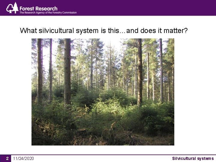 What silvicultural system is this…and does it matter? 2 11/24/2020 Silvicultural systems 