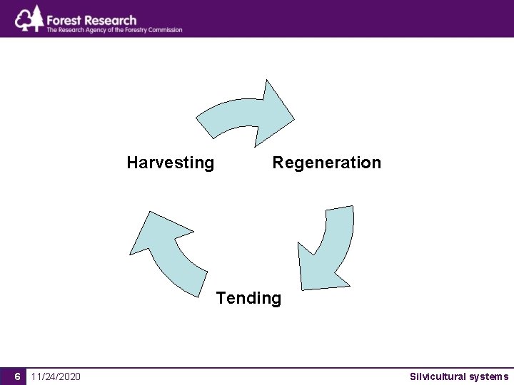 Harvesting Regeneration Tending 6 11/24/2020 Silvicultural systems 