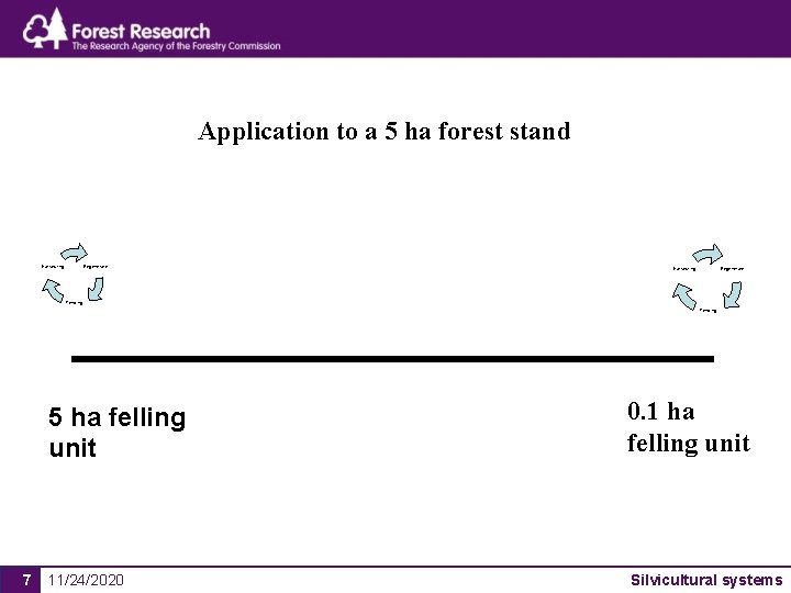 Application to a 5 ha forest stand Harvesting Regenerate Tending 7 5 ha felling