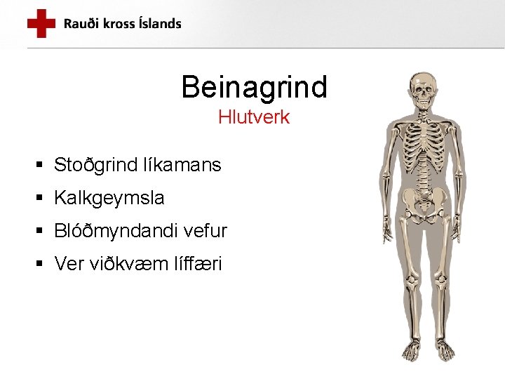 Beinagrind Hlutverk § Stoðgrind líkamans § Kalkgeymsla § Blóðmyndandi vefur § Ver viðkvæm líffæri