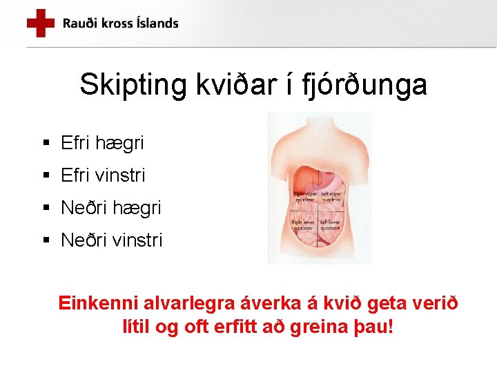 Skipting kviðar í fjórðunga § Efri hægri § Efri vinstri § Neðri hægri §