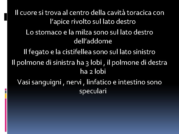 Il cuore si trova al centro della cavità toracica con l’apice rivolto sul lato Il cuore si trova al centro della cavità toracica con l’apice rivolto sul lato