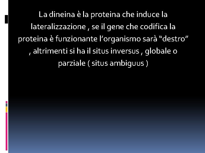 La dineina è la proteina che induce la lateralizzazione , se il gene che