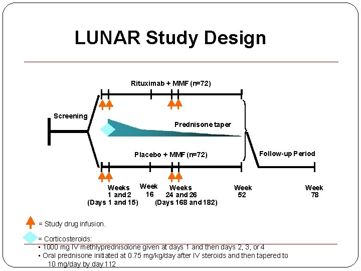 LUNAR Study Design Rituximab + MMF (n=72) Screening Prednisone taper Follow-up Period Placebo +