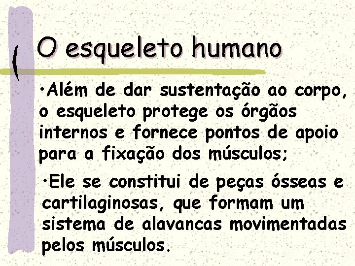 O esqueleto humano • Além de dar sustentação ao corpo, o esqueleto protege os