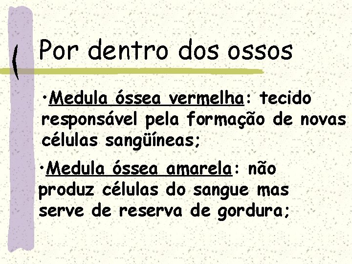 Por dentro dos ossos • Medula óssea vermelha: tecido responsável pela formação de novas