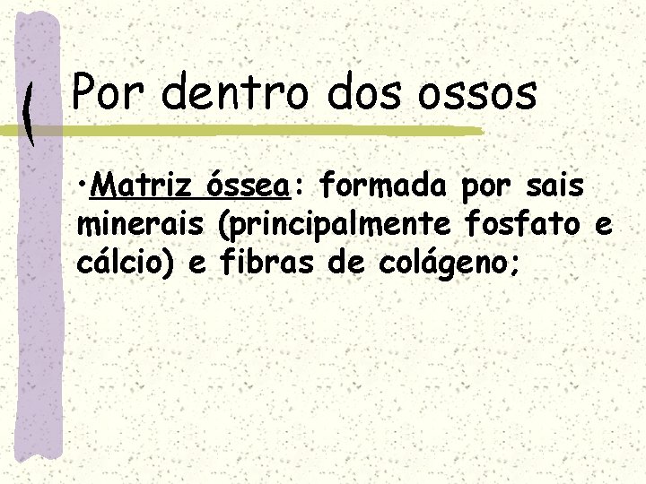 Por dentro dos ossos • Matriz óssea: formada por sais minerais (principalmente fosfato e