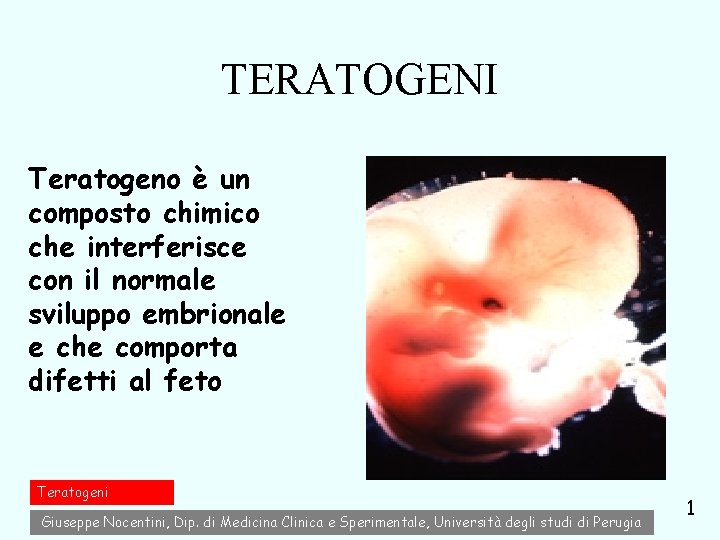 TERATOGENI Teratogeno è un composto chimico che interferisce con il normale sviluppo embrionale e TERATOGENI Teratogeno è un composto chimico che interferisce con il normale sviluppo embrionale e