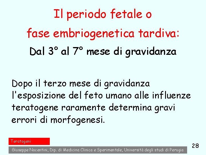 Il periodo fetale o fase embriogenetica tardiva: Dal 3° al 7° mese di gravidanza Il periodo fetale o fase embriogenetica tardiva: Dal 3° al 7° mese di gravidanza