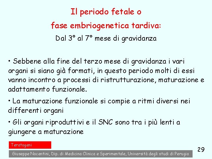 Il periodo fetale o fase embriogenetica tardiva: Dal 3° al 7° mese di gravidanza Il periodo fetale o fase embriogenetica tardiva: Dal 3° al 7° mese di gravidanza
