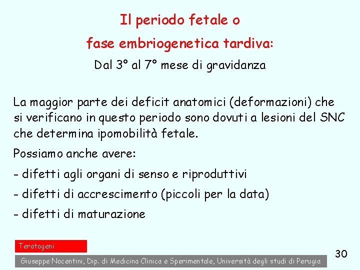 Il periodo fetale o fase embriogenetica tardiva: Dal 3° al 7° mese di gravidanza Il periodo fetale o fase embriogenetica tardiva: Dal 3° al 7° mese di gravidanza