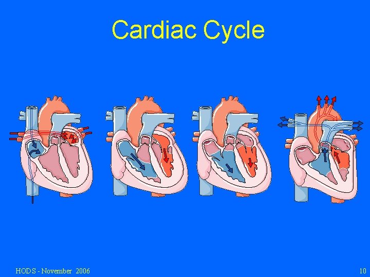 Cardiac Cycle HODS - November 2006 10 