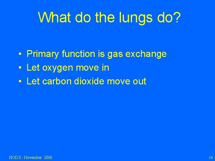 What do the lungs do? • Primary function is gas exchange • Let oxygen