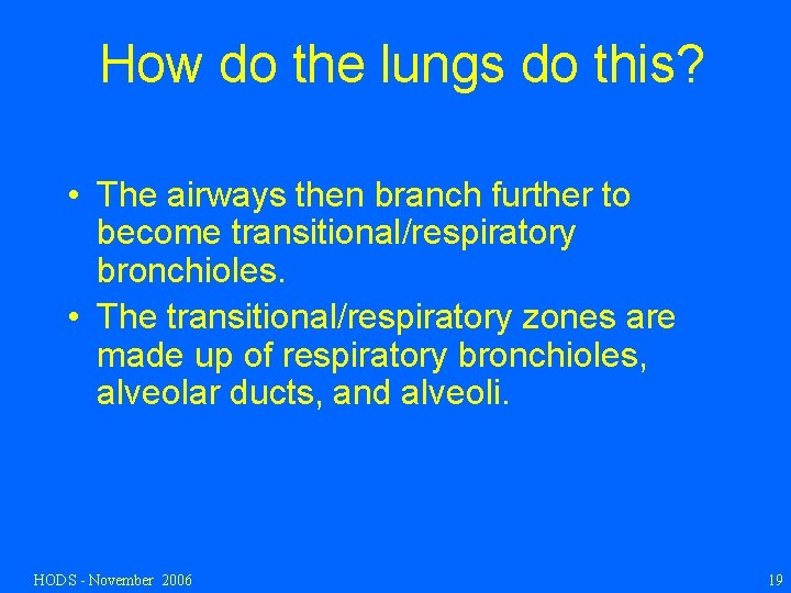 How do the lungs do this? • The airways then branch further to become