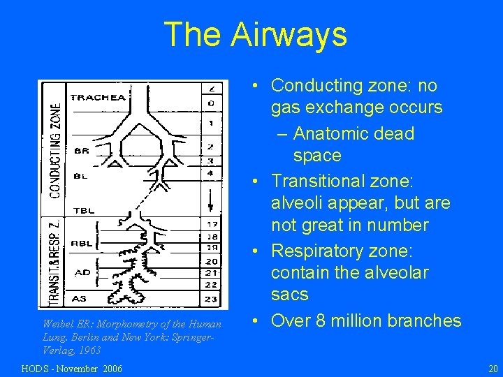 The Airways Weibel ER: Morphometry of the Human Lung. Berlin and New York: Springer.