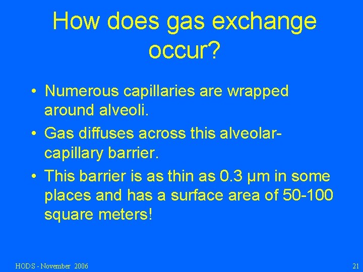 How does gas exchange occur? • Numerous capillaries are wrapped around alveoli. • Gas