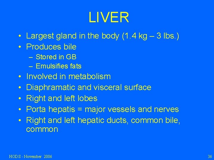 LIVER • Largest gland in the body (1. 4 kg – 3 lbs. )