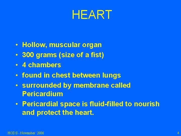 HEART • • • Hollow, muscular organ 300 grams (size of a fist) 4