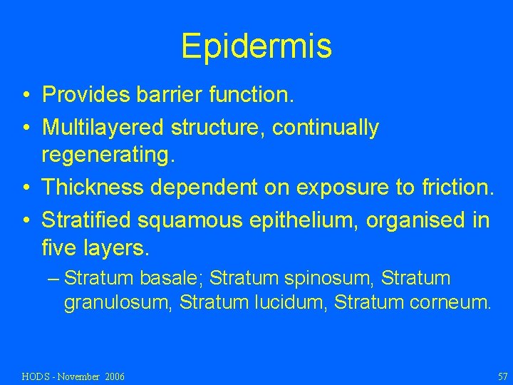 Epidermis • Provides barrier function. • Multilayered structure, continually regenerating. • Thickness dependent on