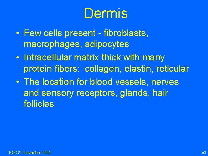 Dermis • Few cells present - fibroblasts, macrophages, adipocytes • Intracellular matrix thick with