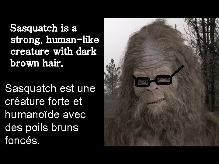 Sasquatch is a strong, human-like creature with dark brown hair. Sasquatch est une créature