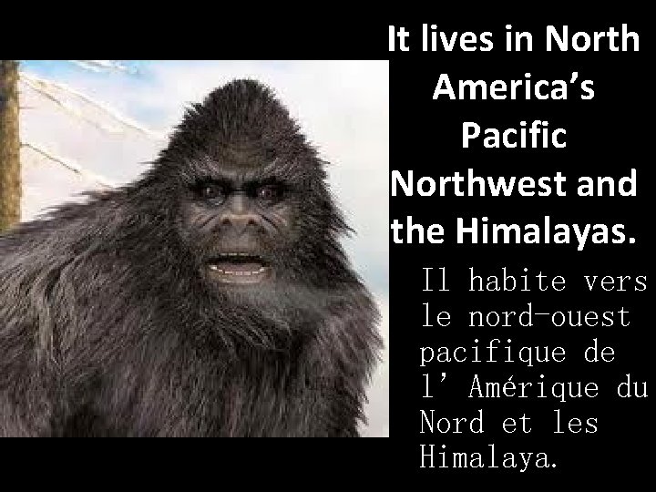 It lives in North America’s Pacific Northwest and the Himalayas. Il habite vers le