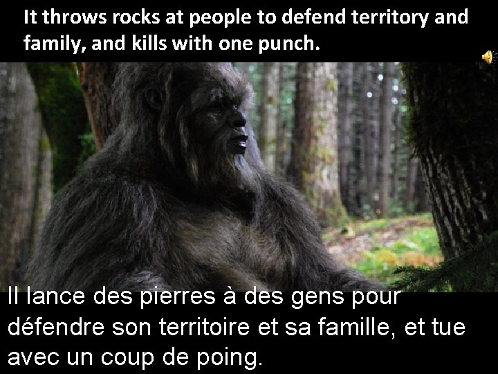 It throws rocks at people to defend territory and family, and kills with one