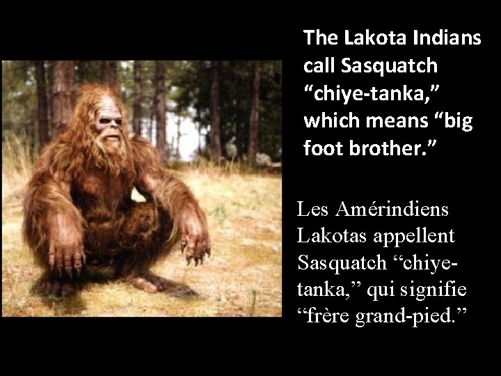 The Lakota Indians call Sasquatch “chiye-tanka, ” which means “big foot brother. ” Les