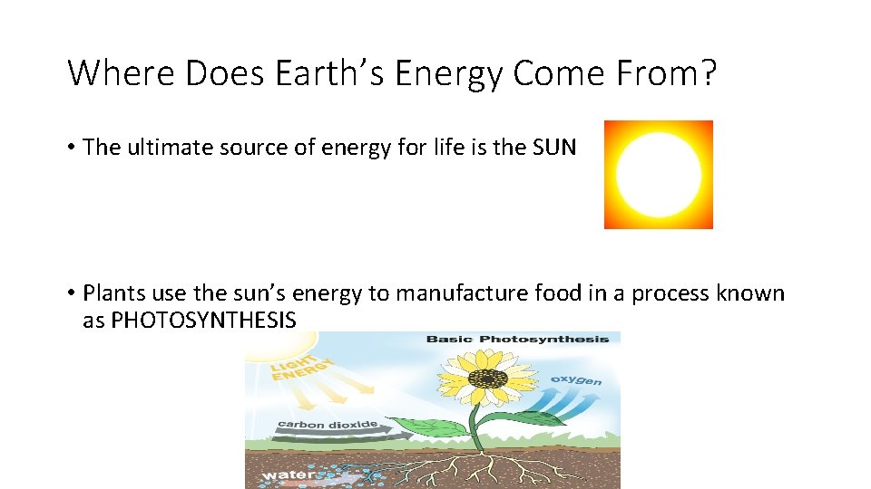 Where Does Earth’s Energy Come From? • The ultimate source of energy for life